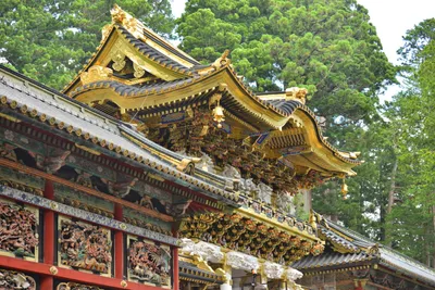 DSC_3909 (Large).JPG